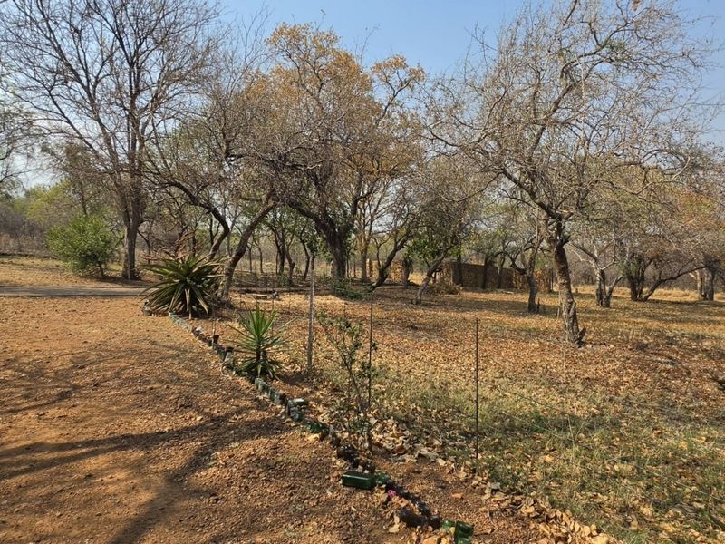 A natural, undeveloped garden area on the farm property featuring mature trees and a dirt driveway.