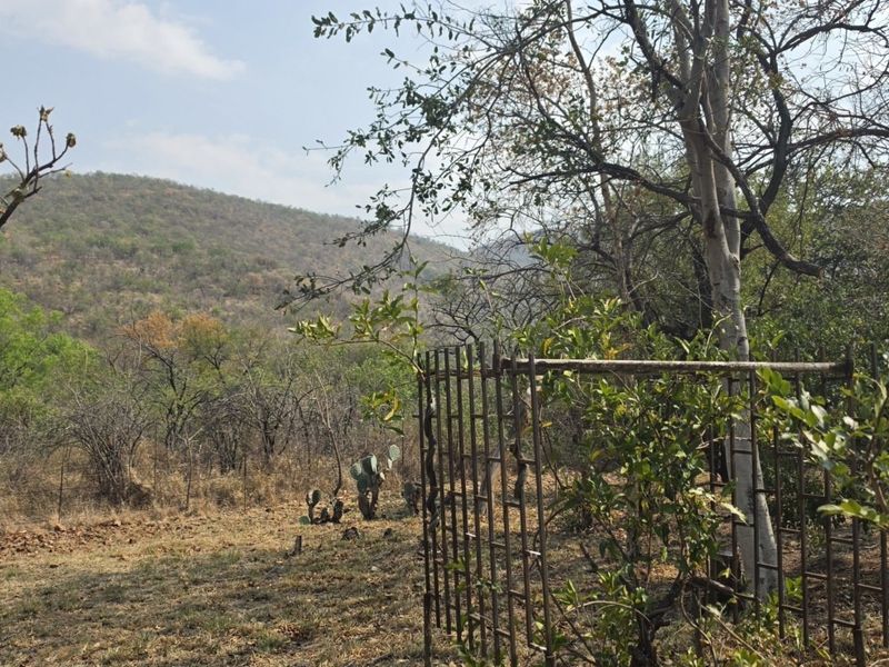 A scenic view of the natural landscape and surrounding hills on the farm property, featuring established trees and native vegetation.