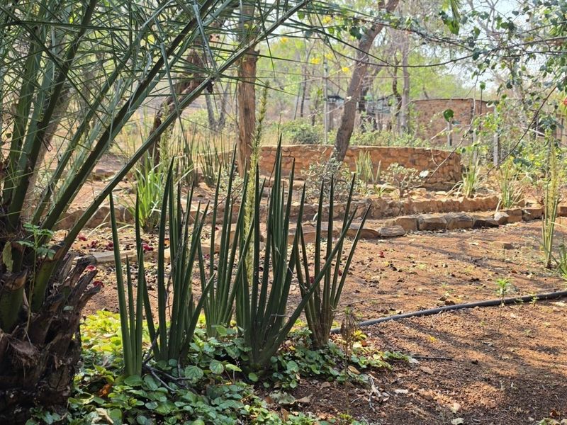 A natural garden area featuring established trees, native plantings, and a stone retaining wall with an integrated irrigation system.