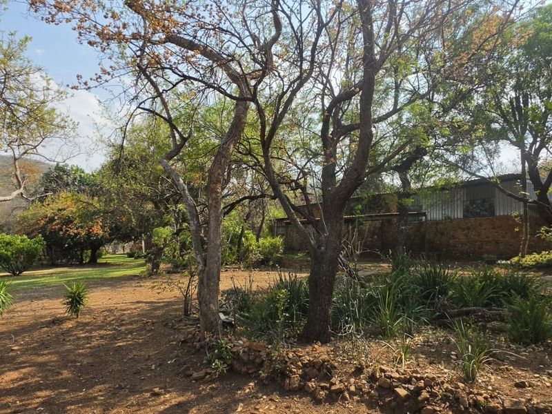 A spacious, natural garden area featuring mature trees, established landscaping, and a stone retaining wall, offering a peaceful outdoor setting on the farm property.