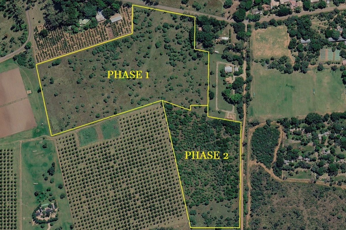 Aerial view of a large residential land parcel divided into two phases, featuring natural vegetation and tree cover.