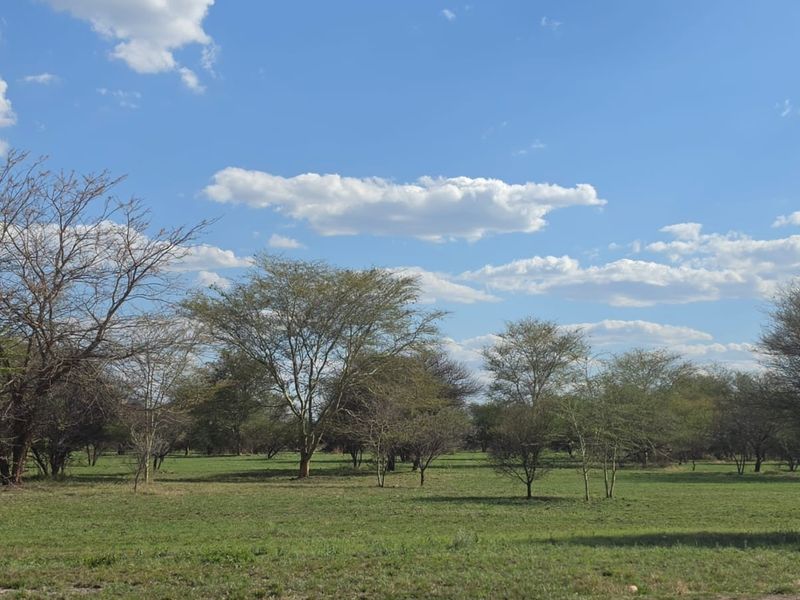 A view of a vacant residential plot featuring natural grassland and scattered native trees under a clear blue sky.