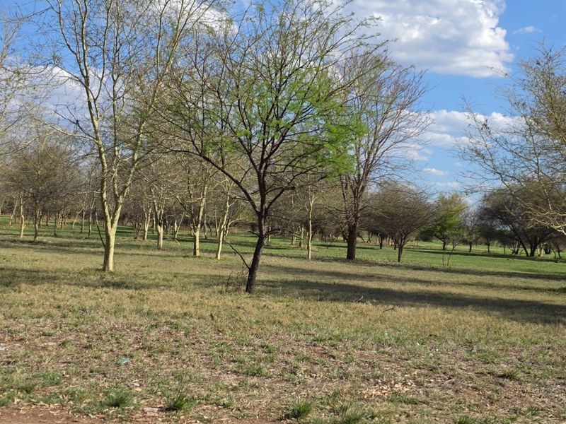A view of a vacant residential plot featuring established trees and natural grassland terrain.