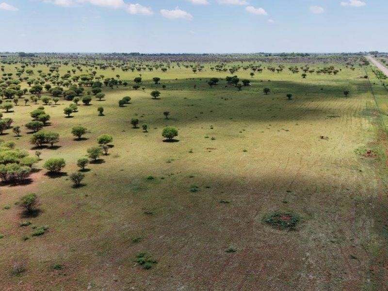 An expansive aerial view of the farm property, showcasing vast open grazing land, scattered indigenous trees, and direct access to the adjacent public road.