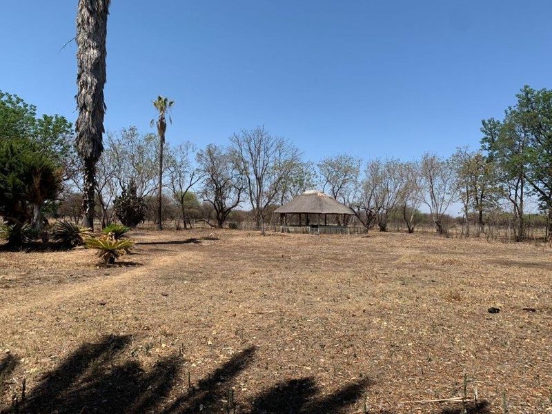A wide-angle view of the farm grounds featuring a traditional thatch-roof gazebo set within a dry, open landscape.