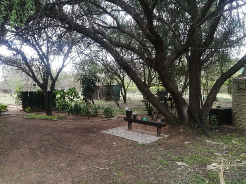 A natural garden area on a small holding featuring mature trees, a water storage tank, and a paved seating area.
