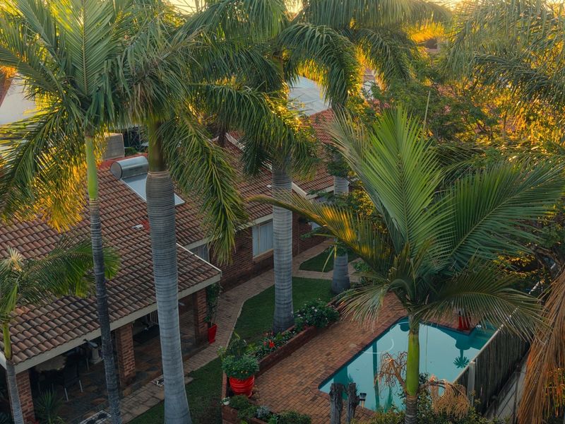 Aerial view of a residential property featuring a swimming pool, brick-paved patio area, and mature palm trees set within a landscaped garden.