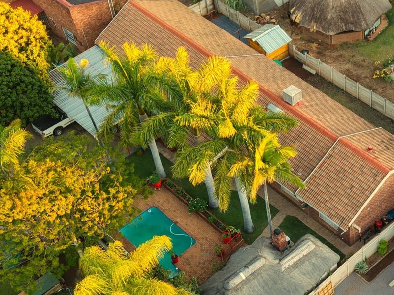 Aerial view of the property featuring a tiled roof house, a swimming pool, paved patio area, and established garden with mature palm trees.
