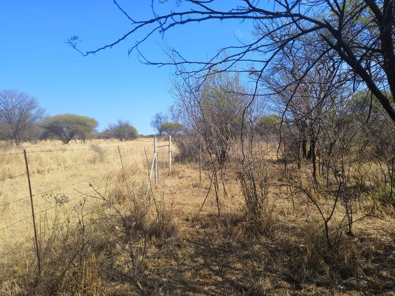 A view of the vacant residential land featuring natural vegetation and existing wire perimeter fencing.