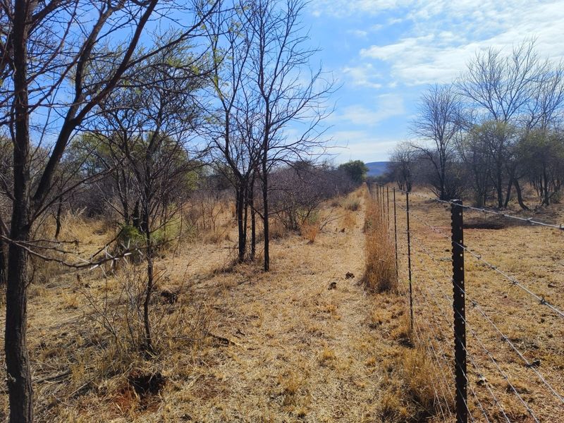 A view of the vacant residential land featuring natural vegetation and a perimeter barbed wire fence.