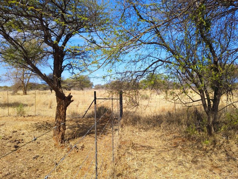 A view of the vacant residential land featuring established trees and perimeter wire fencing.