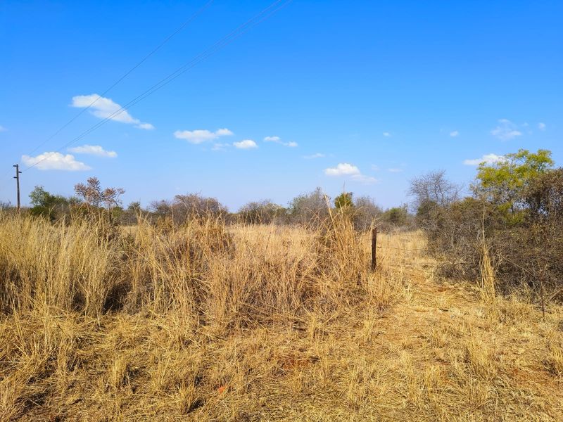 A view of a vacant residential plot featuring dry natural vegetation, a wire fence boundary, and an overhead utility line.