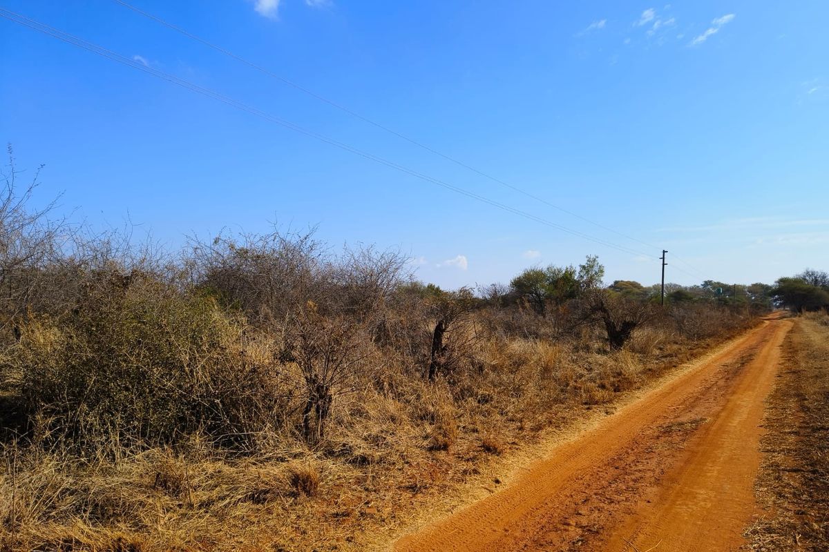 A view of a dirt access road bordering a vacant residential plot with natural vegetation and overhead utility infrastructure.