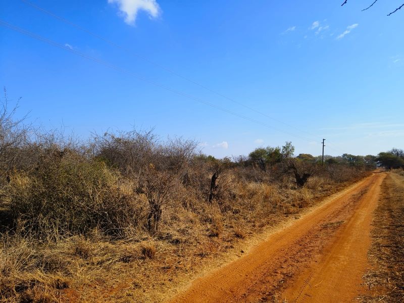 A view of a dirt access road bordering a vacant residential plot with natural vegetation and overhead utility infrastructure.