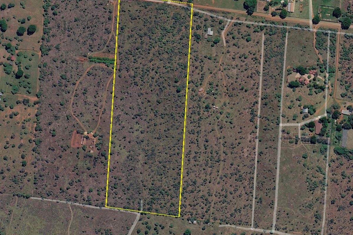 An aerial view of a large, rectangular plot of vacant residential land covered in natural vegetation.