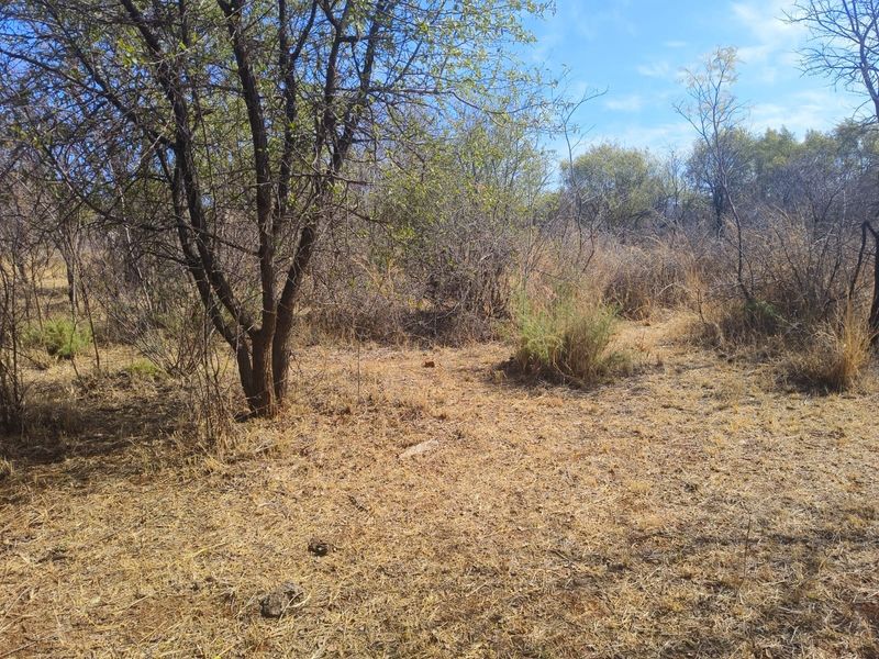 A view of the natural, undeveloped residential land featuring native trees and dry grass vegetation.