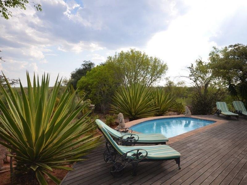 Outdoor pool area featuring a swimming pool with brick coping and a timber deck, surrounded by landscaped garden elements.