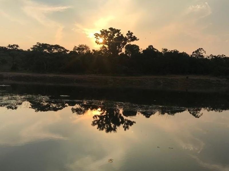 A scenic view of a tranquil water body surrounded by mature trees at sunset, highlighting the natural landscape of the property.