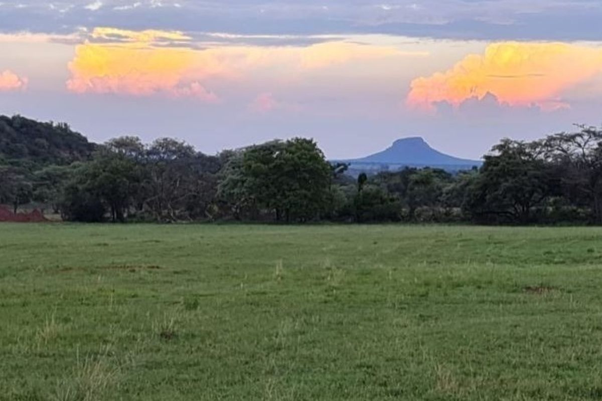 A scenic view of the vacant residential land featuring expansive green grassland and distant mountain vistas under a sunset sky.