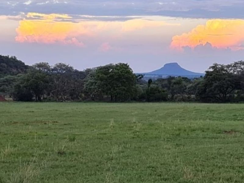 A scenic view of the vacant residential land featuring expansive green grassland and distant mountain vistas under a sunset sky.