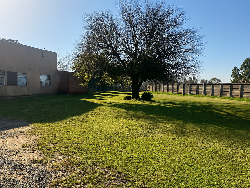 Spacious rear garden area featuring a large mature tree, expansive lawn, and secure precast concrete boundary walling.