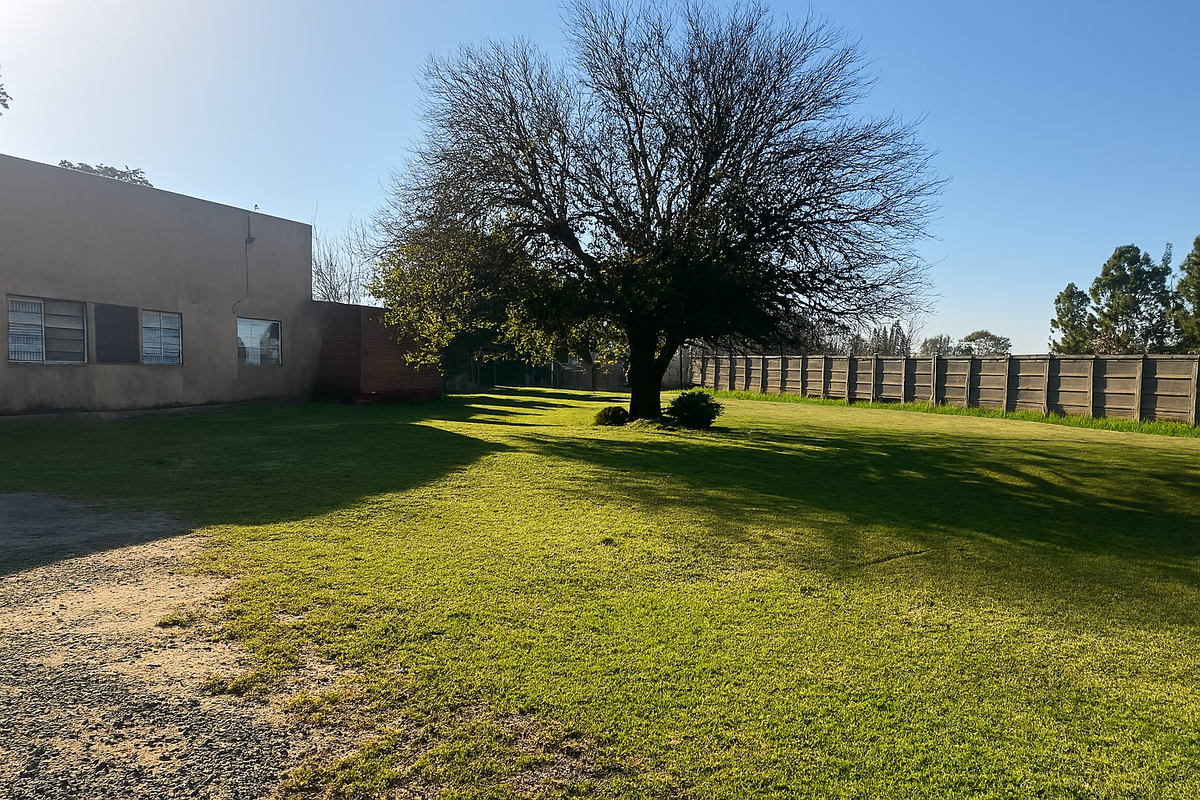 Spacious rear garden area featuring a large mature tree, expansive lawn, and secure precast concrete boundary walling.