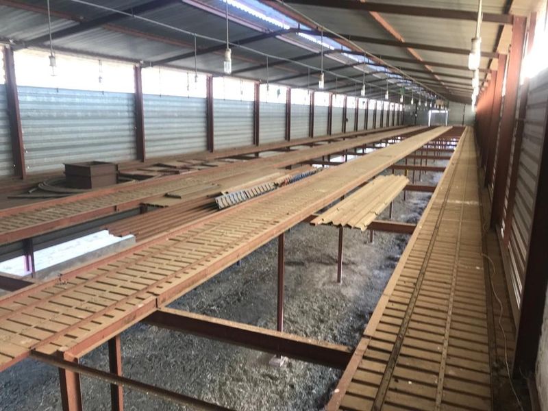 Large industrial utility shed featuring raised slatted flooring, metal wall cladding, and corrugated roofing, suitable for agricultural or storage purposes.