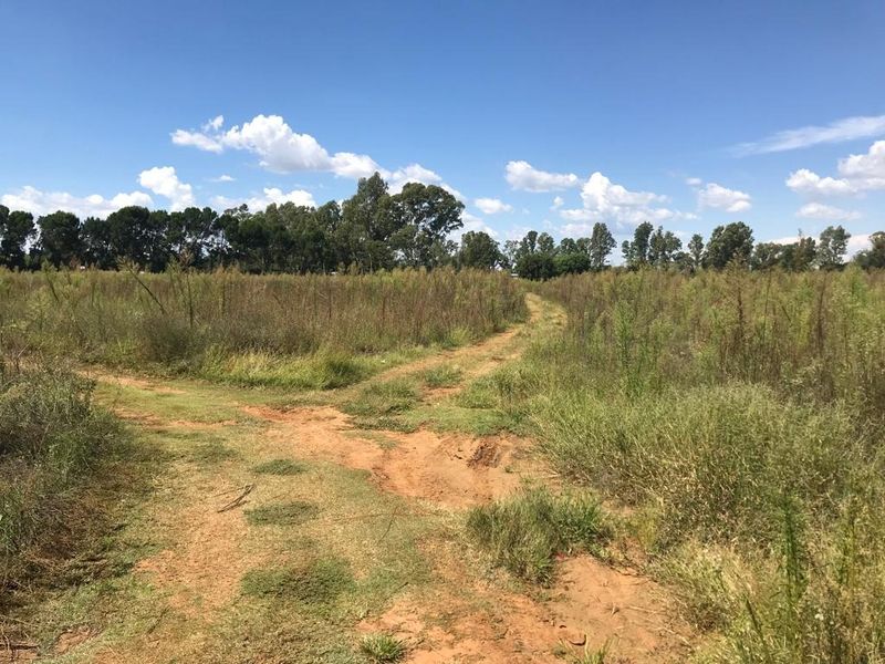An expansive open field on a small holding featuring a natural dirt track and surrounding indigenous vegetation under a clear sky.