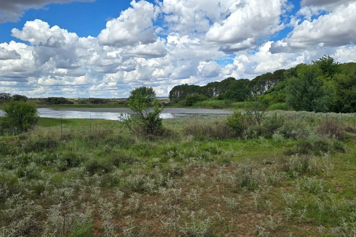 A scenic view of the farm landscape featuring a natural dam, open grazing land, and established indigenous vegetation under a clear sky.