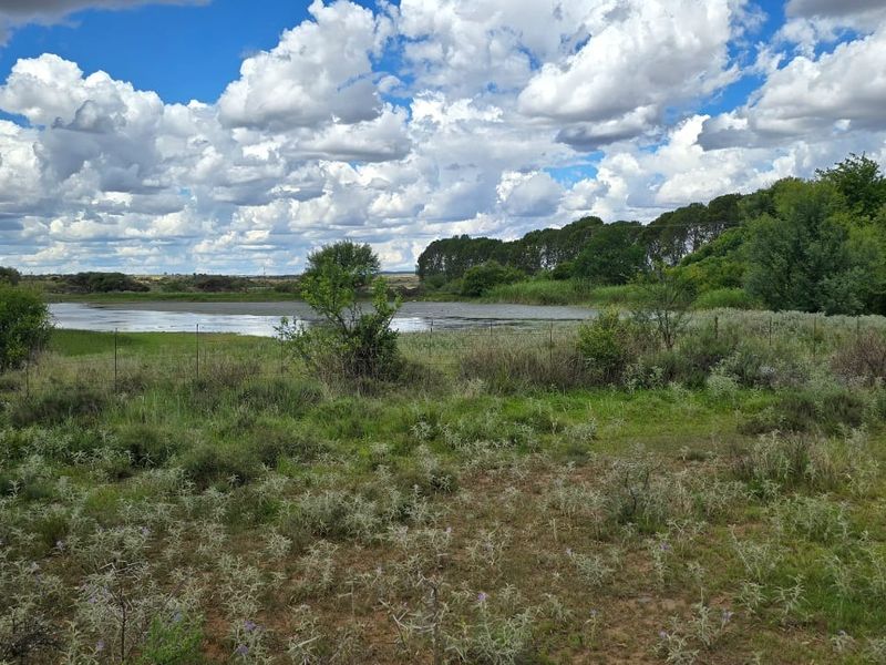 A scenic view of the farm landscape featuring a natural dam, open grazing land, and established indigenous vegetation under a clear sky.