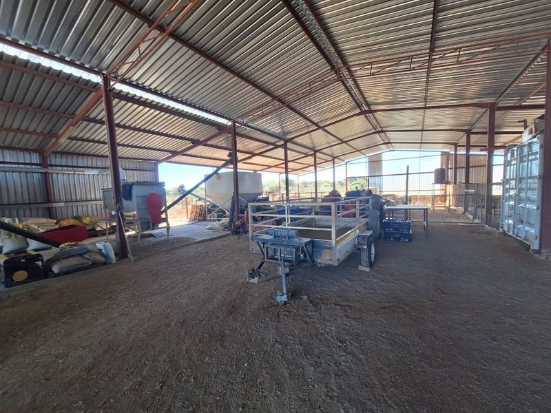 Large open-sided farm utility barn featuring a durable steel frame, corrugated metal roofing, and a spacious concrete floor suitable for agricultural storage or operations.