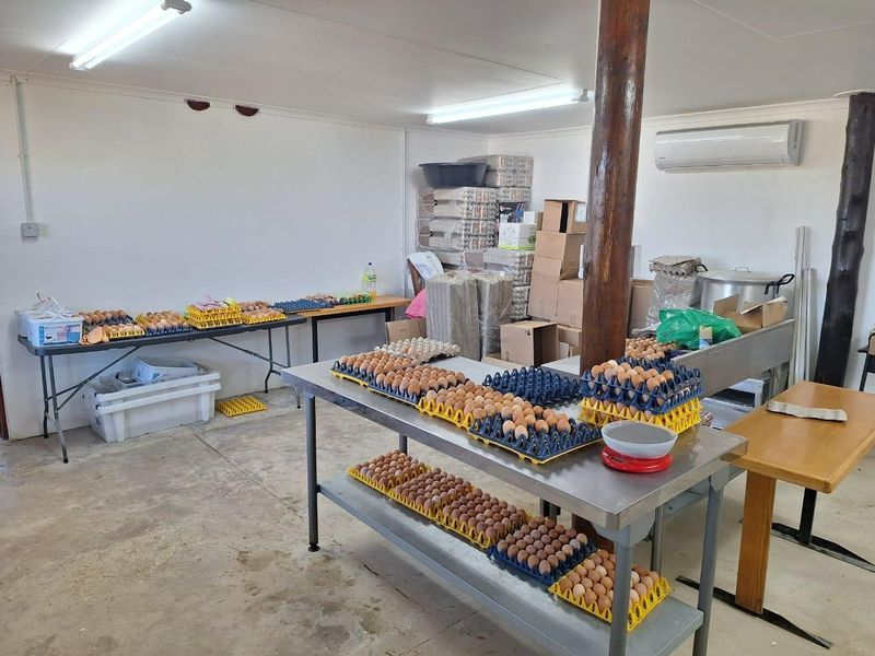 A functional utility space on the farm, equipped with air conditioning, fluorescent lighting, and durable concrete flooring, currently utilized for egg processing and storage.