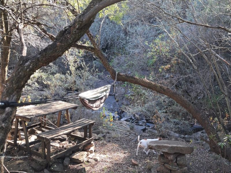 A natural, rustic garden setting featuring mature trees, rocky terrain, and a stone-based table, offering a secluded outdoor space within the farm landscape.