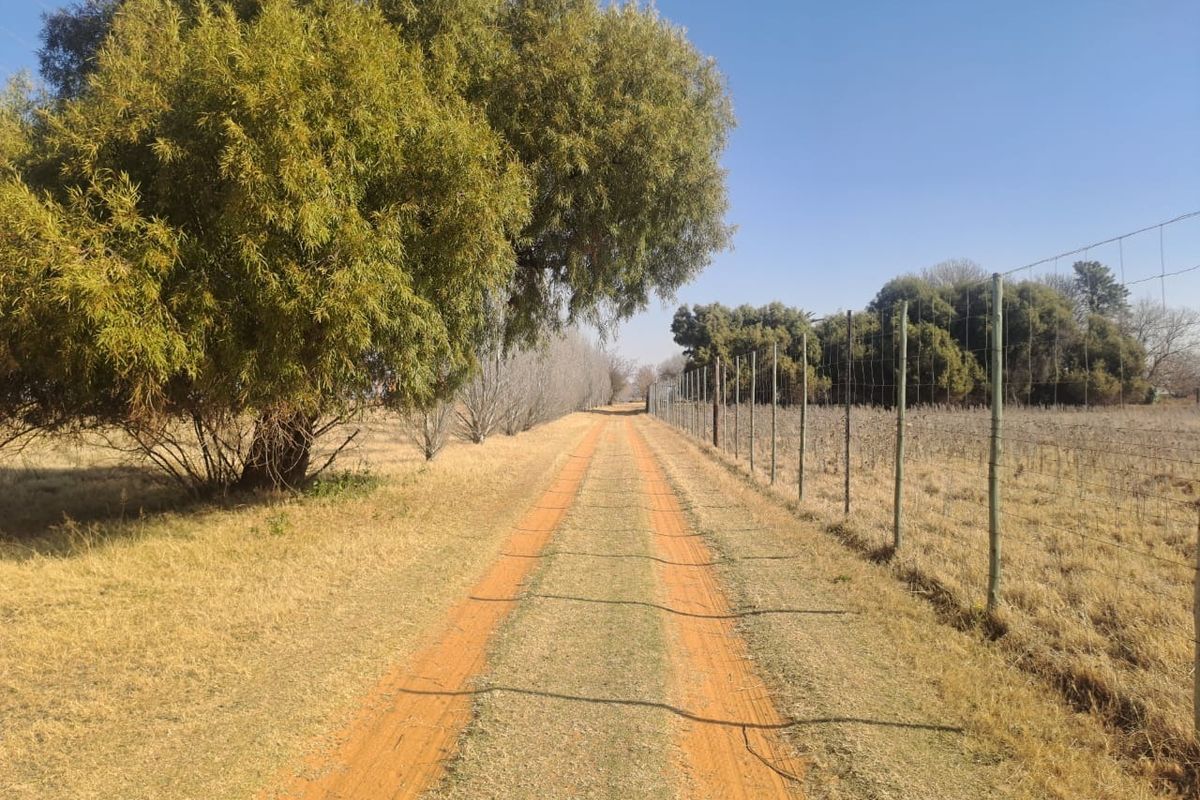A dirt farm track lined with mature trees and wire fencing, leading through the property grounds.