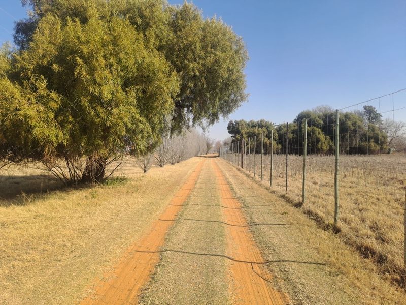 A dirt farm track lined with mature trees and wire fencing, leading through the property grounds.