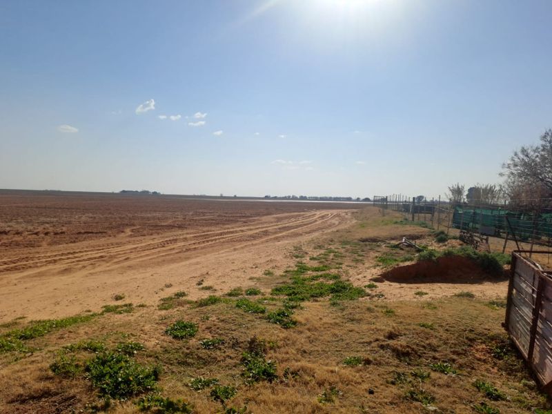 Expansive view of open farmland featuring a dirt track and perimeter wire fencing under a clear sky.