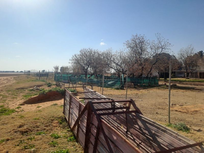 An outdoor farm area featuring wire fencing, shade netting, and a metal livestock loading ramp set against a rural landscape.