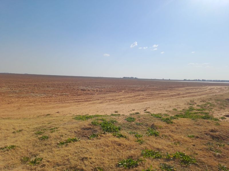 A wide-angle view of expansive, open farmland with dry soil and natural vegetation under a clear blue sky.