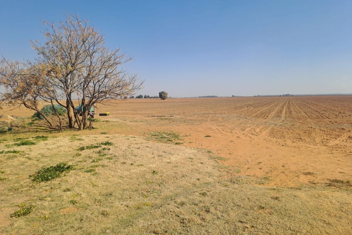Expansive view of open, tilled farmland with a mature tree in the foreground under a clear blue sky.