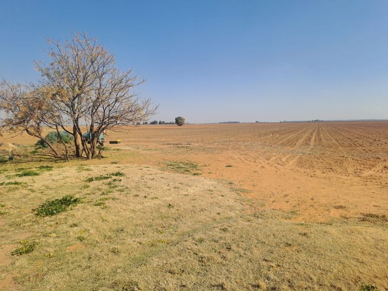 Expansive view of open, tilled farmland with a mature tree in the foreground under a clear blue sky.
