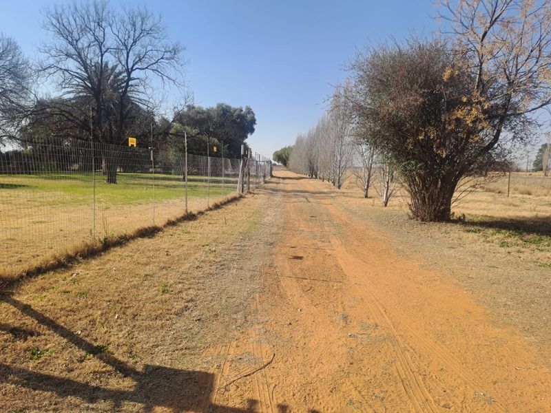A dirt driveway leading through the farm property, bordered by wire mesh fencing with integrated electric security wires and mature trees.