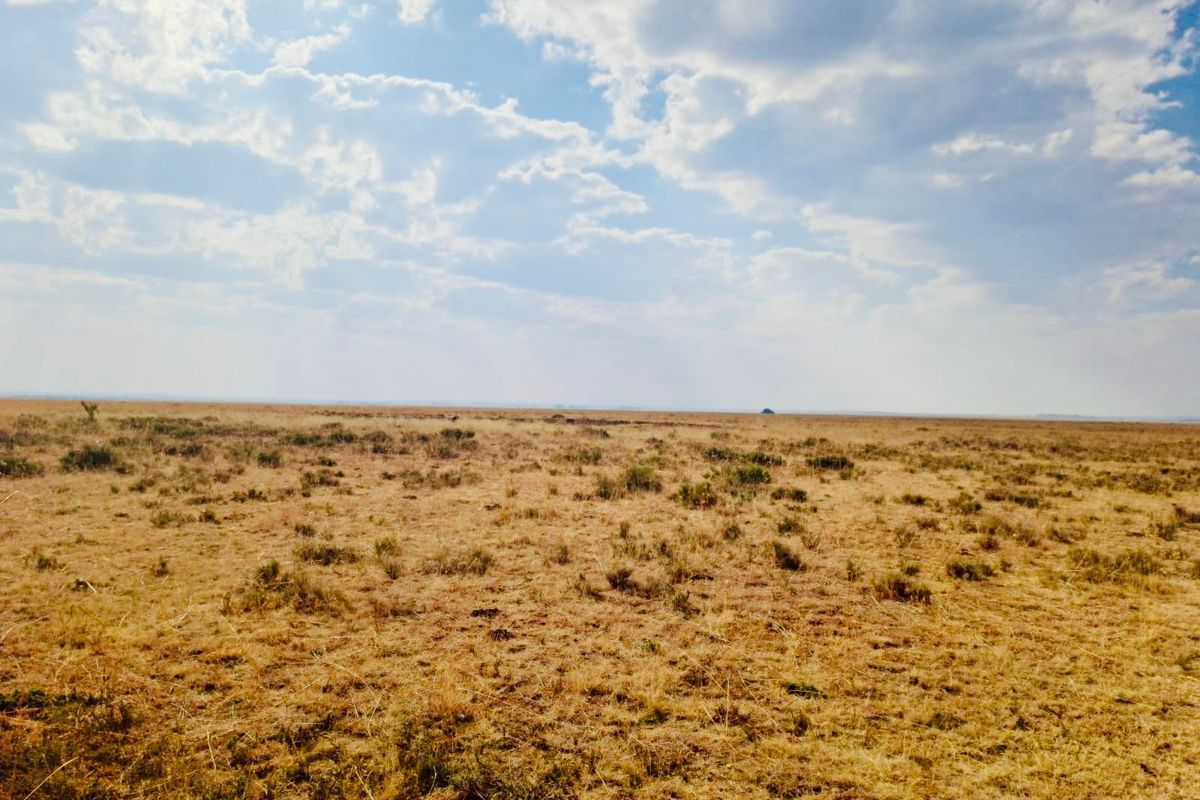 A wide-angle view of the expansive, open veld landscape characteristic of the farm property under a bright, cloudy sky.