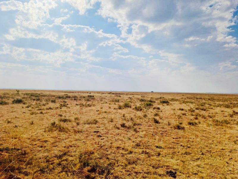 A wide-angle view of the expansive, open veld landscape characteristic of the farm property under a bright, cloudy sky.