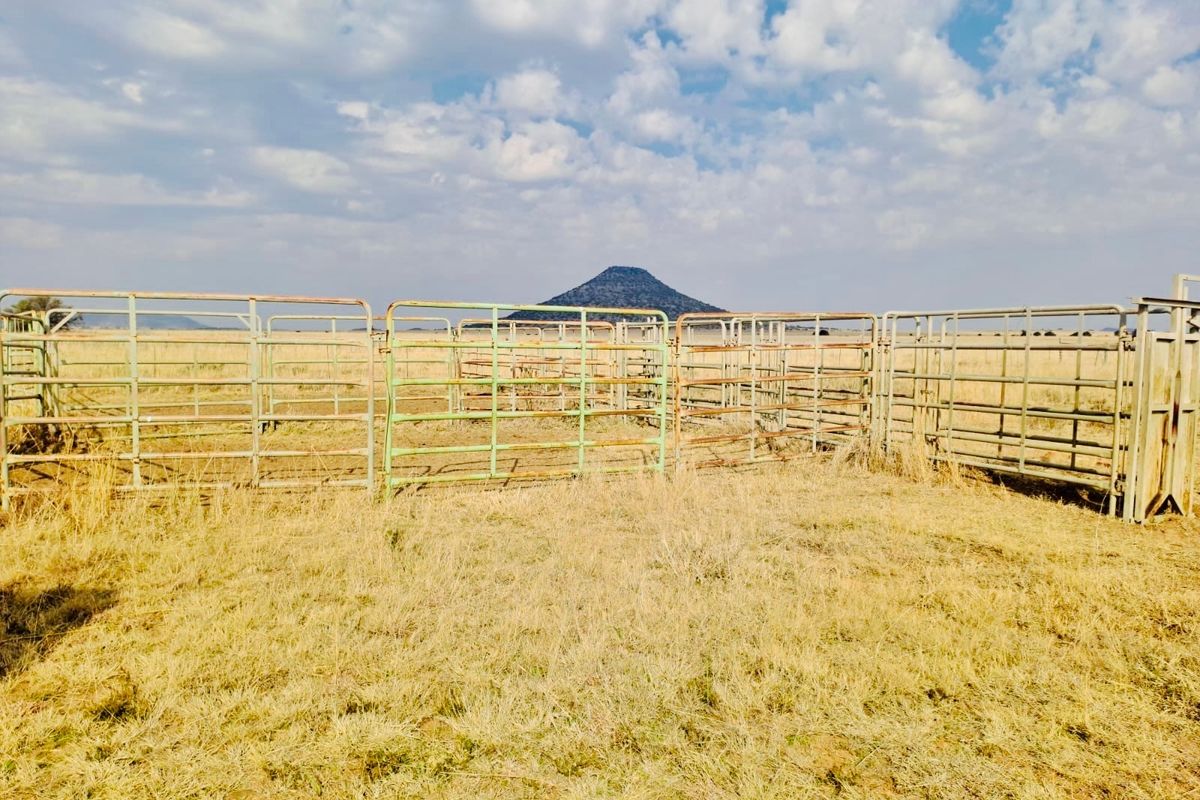 Outdoor livestock handling area featuring metal fencing pens set against a rural landscape with a prominent hill in the background.