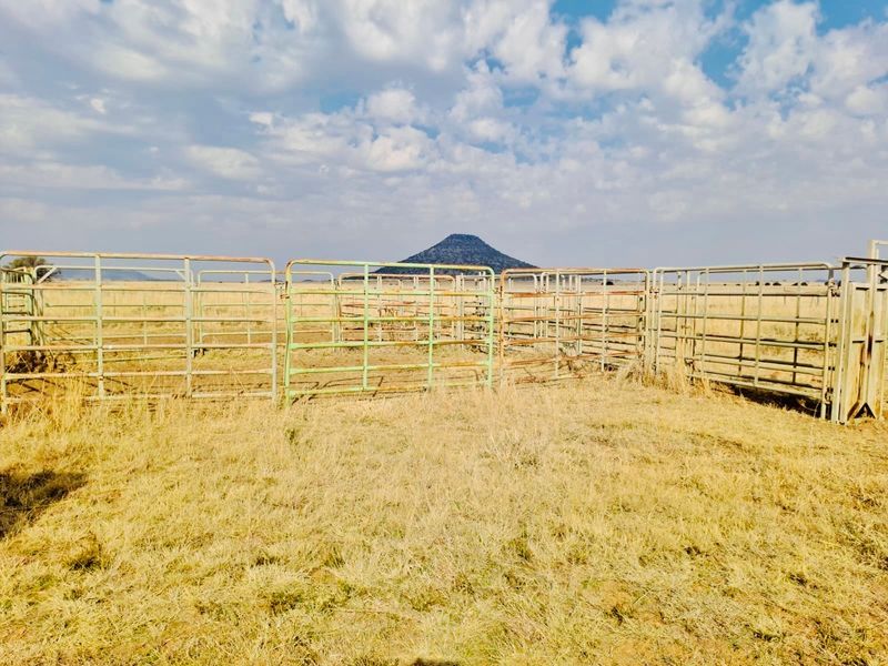 Outdoor livestock handling area featuring metal fencing pens set against a rural landscape with a prominent hill in the background.