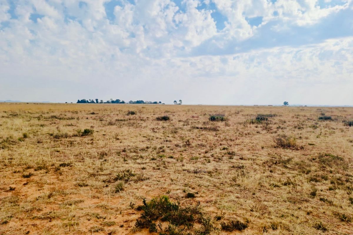 Expansive open landscape view showcasing the natural terrain and horizon of the farm property.
