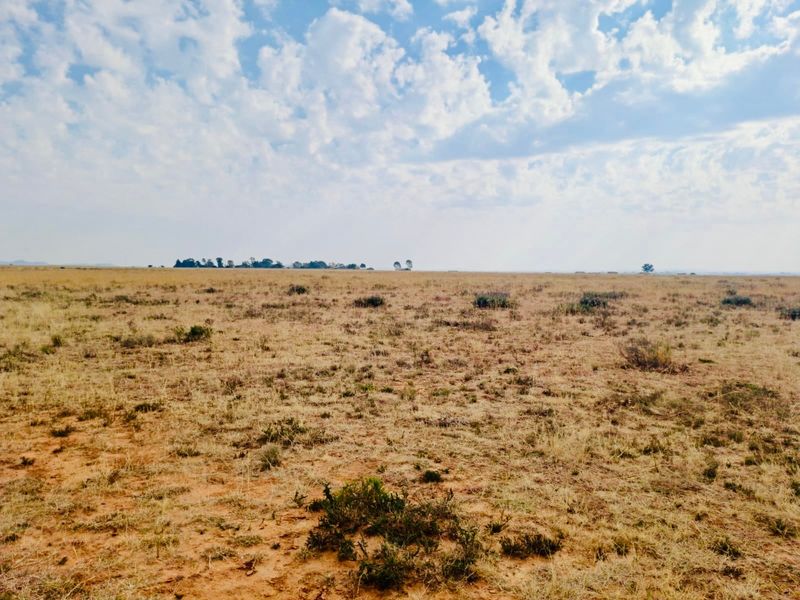 Expansive open landscape view showcasing the natural terrain and horizon of the farm property.
