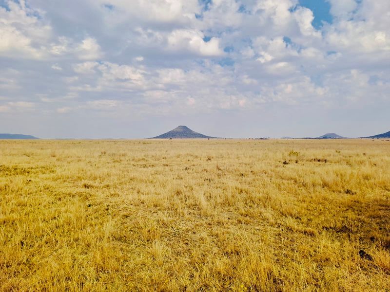 Expansive open landscape view featuring natural grasslands and distant mountain peaks under a clear sky.