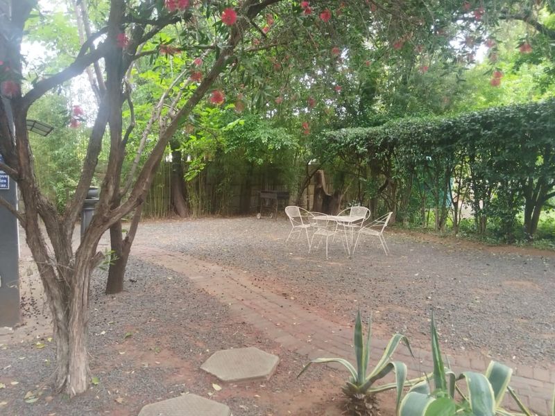 A tranquil garden area featuring mature trees, established hedging, and a combination of gravel and brick pathways, providing a peaceful outdoor setting.