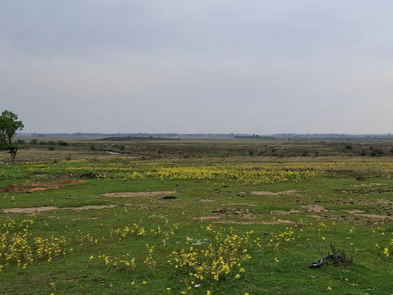 A wide, open landscape view of the farm property featuring natural grassland and scattered trees under an overcast sky.